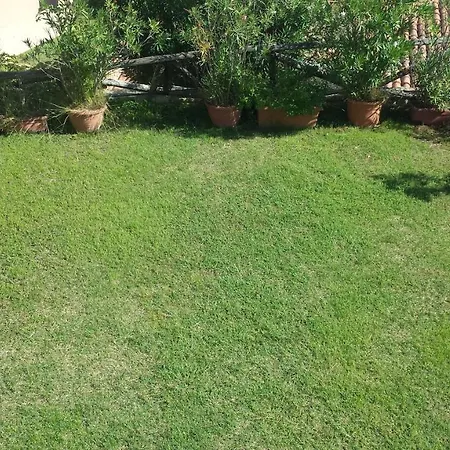 Poggio Del Cervo 度假居 切尔沃港