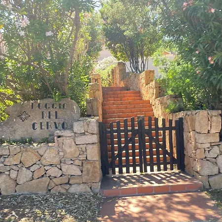Poggio Del Cervo 切尔沃港