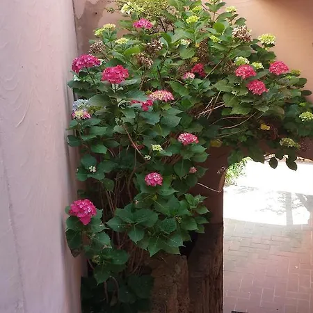 度假居 Poggio Del Cervo *