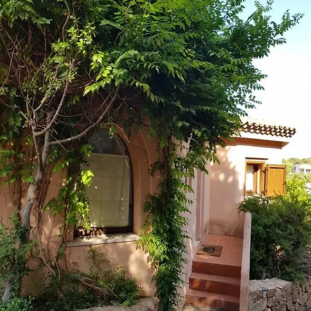 Poggio Del Cervo *